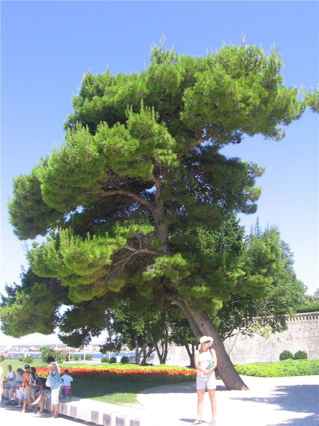 Zadar3